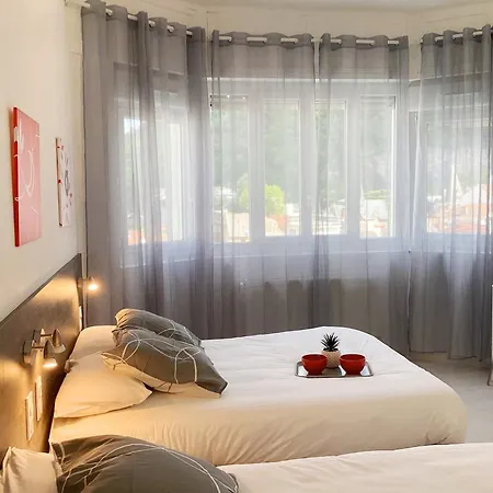 Stella 95 M2 Climatisé Parking Proche Sanctuaires Lourdes