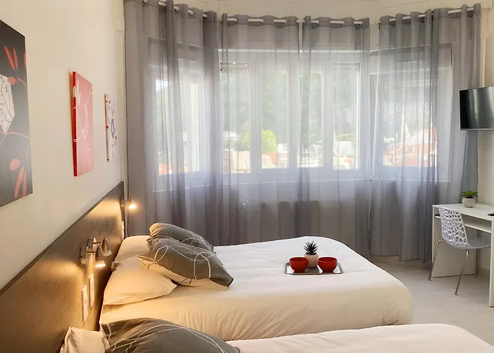 Stella 95 M2 Climatisé Parking Proche Sanctuaires Lourdes